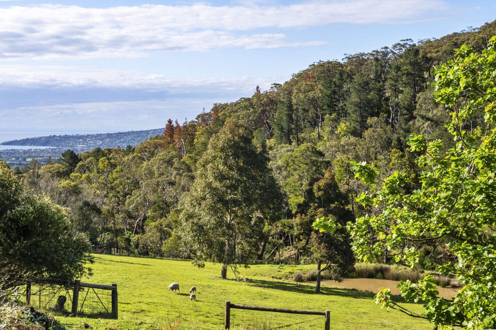 300 Mcilroys Road, Red Hill, Red Hill - Thumbnail 5