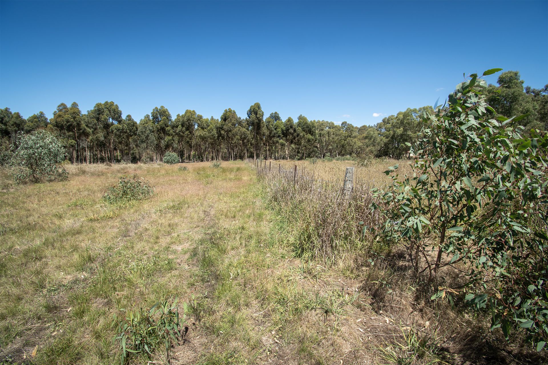 29 Steele Street, Dunolly - Thumbnail 7