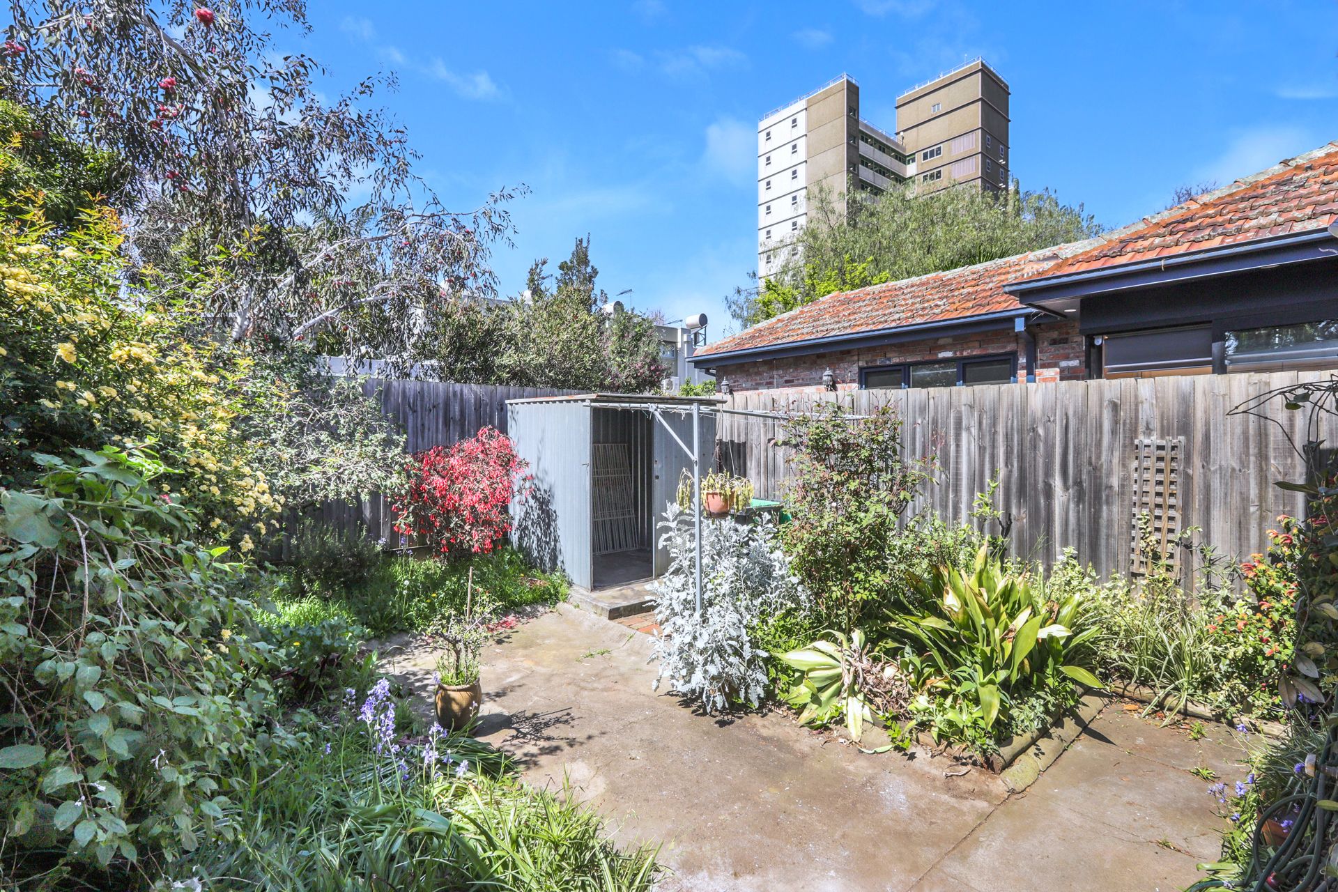 36 Ascot Vale Road Flemington VIC, Flemington - Thumbnail 7