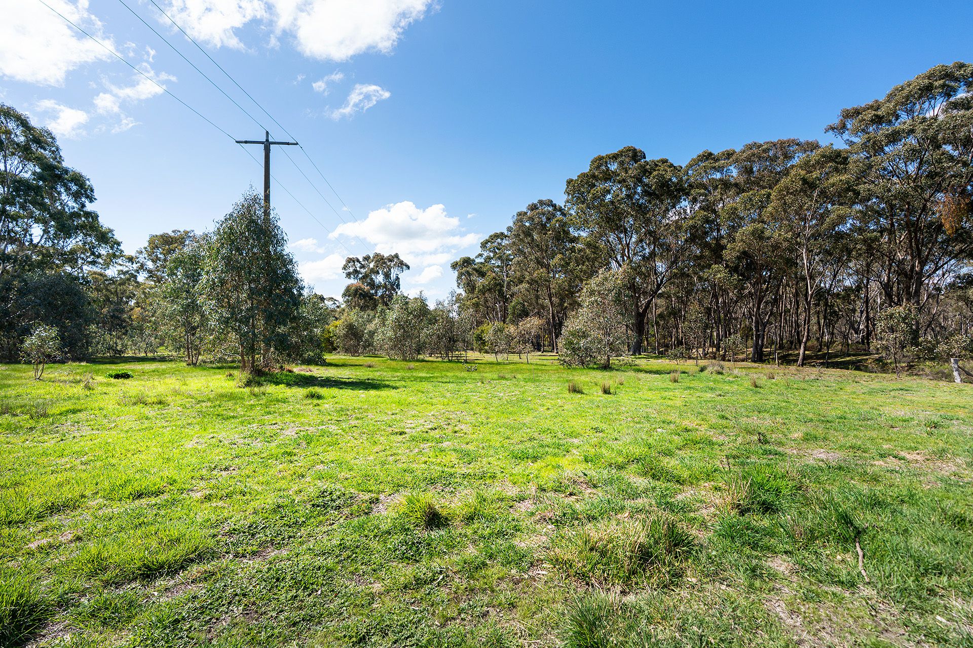 20/19 Reckleben Street, Castlemaine - Thumbnail 7