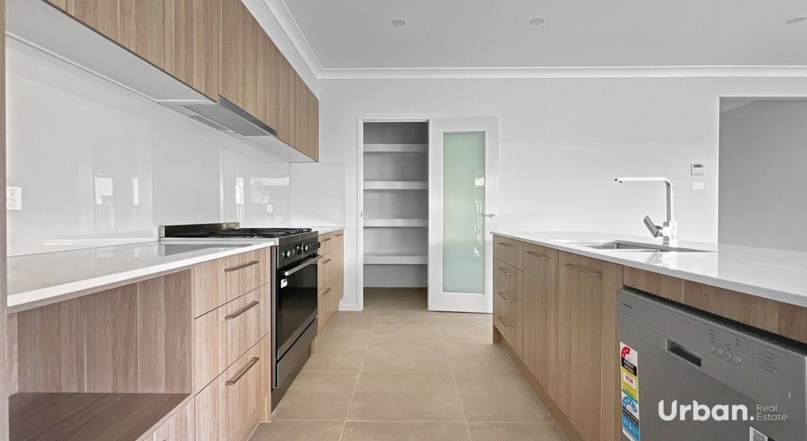 Austral 44 Filly Road