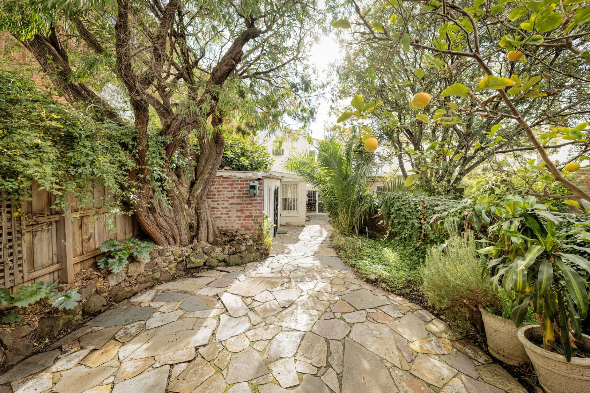 127 Grey Street, East Melbourne, East Melbourne - Thumbnail 6