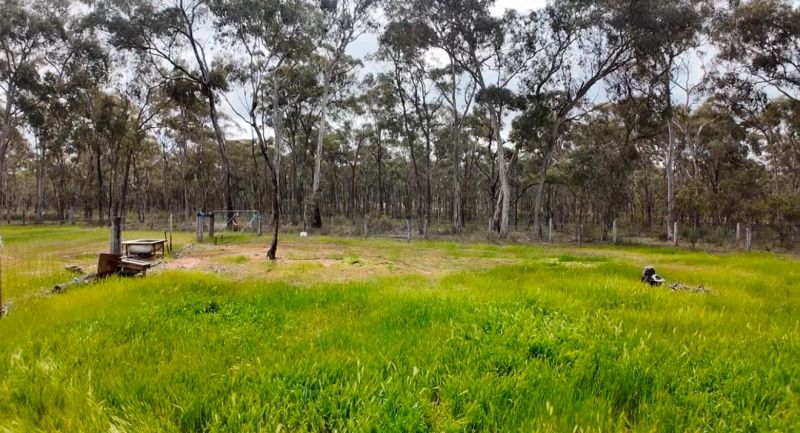 363 Tullaroop Road, Maryborough - Thumbnail 8