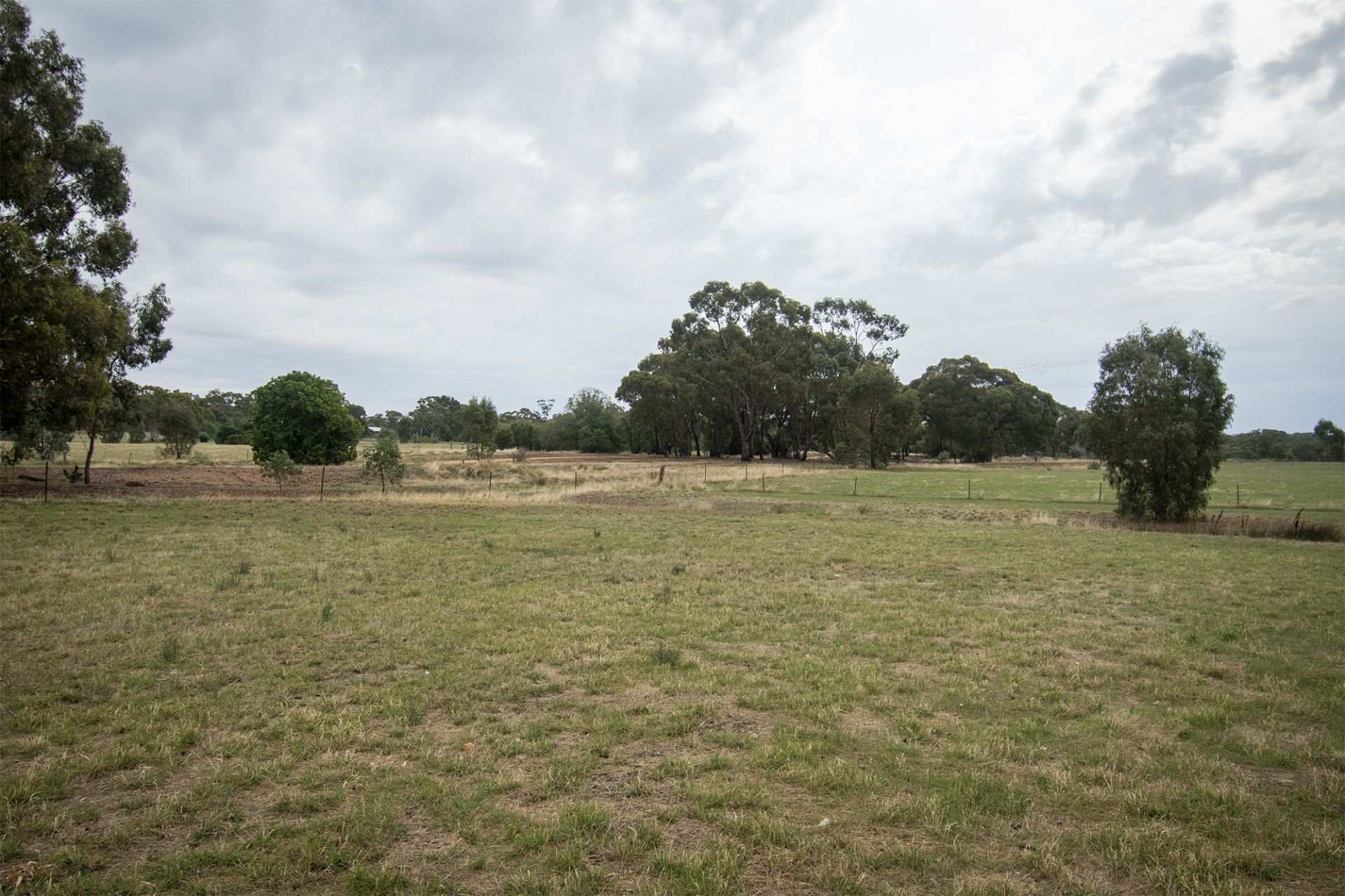 1/ Newbold Street, Wedderburn - Thumbnail 6