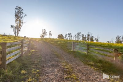 Maloneys Road, Sunnyside, Sunnyside - Thumbnail 3