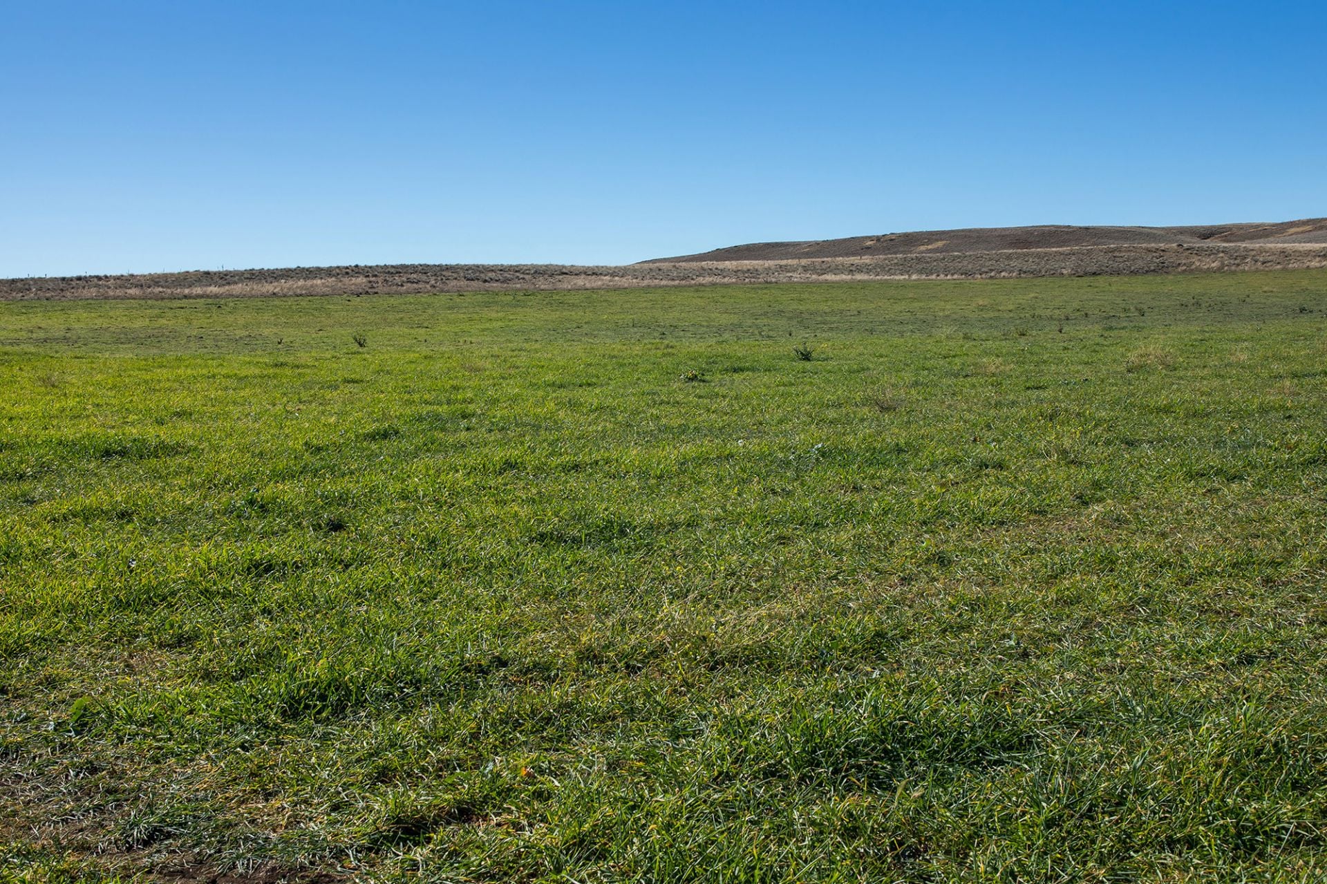 7651 Monaro Highway, Cooma, Cooma - Thumbnail 7
