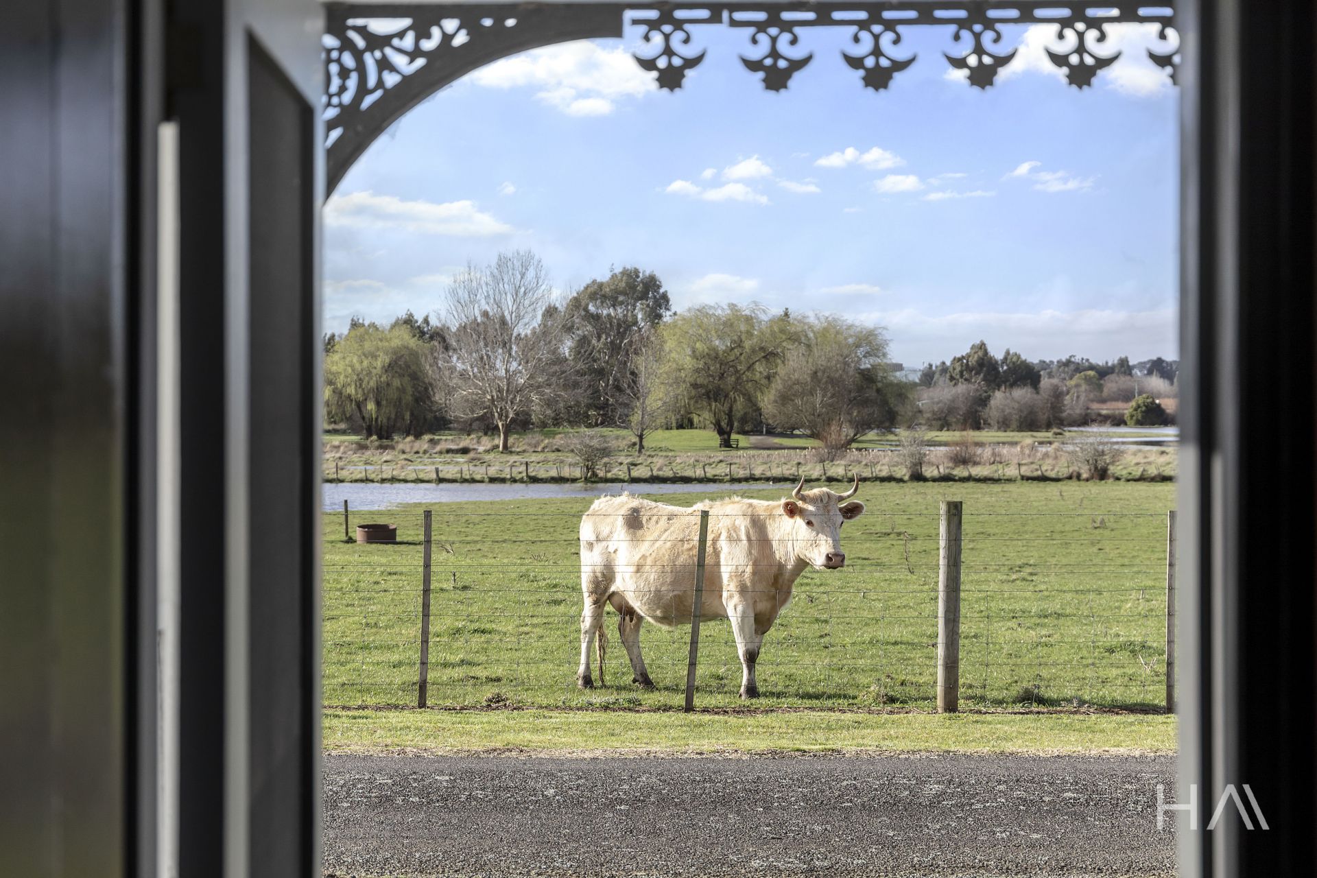 4 Mary Ann Street Westbury, Westbury - Thumbnail 7