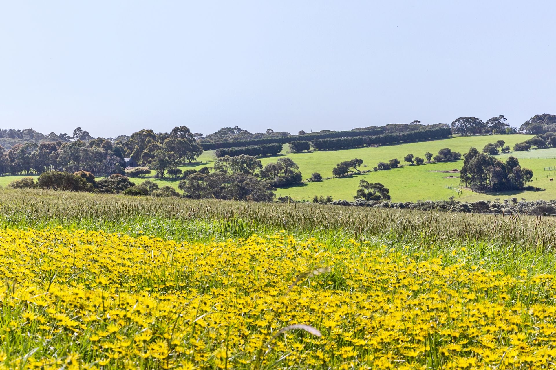 2091 Mornington-Flinders Road, Flinders, Flinders - Thumbnail 8