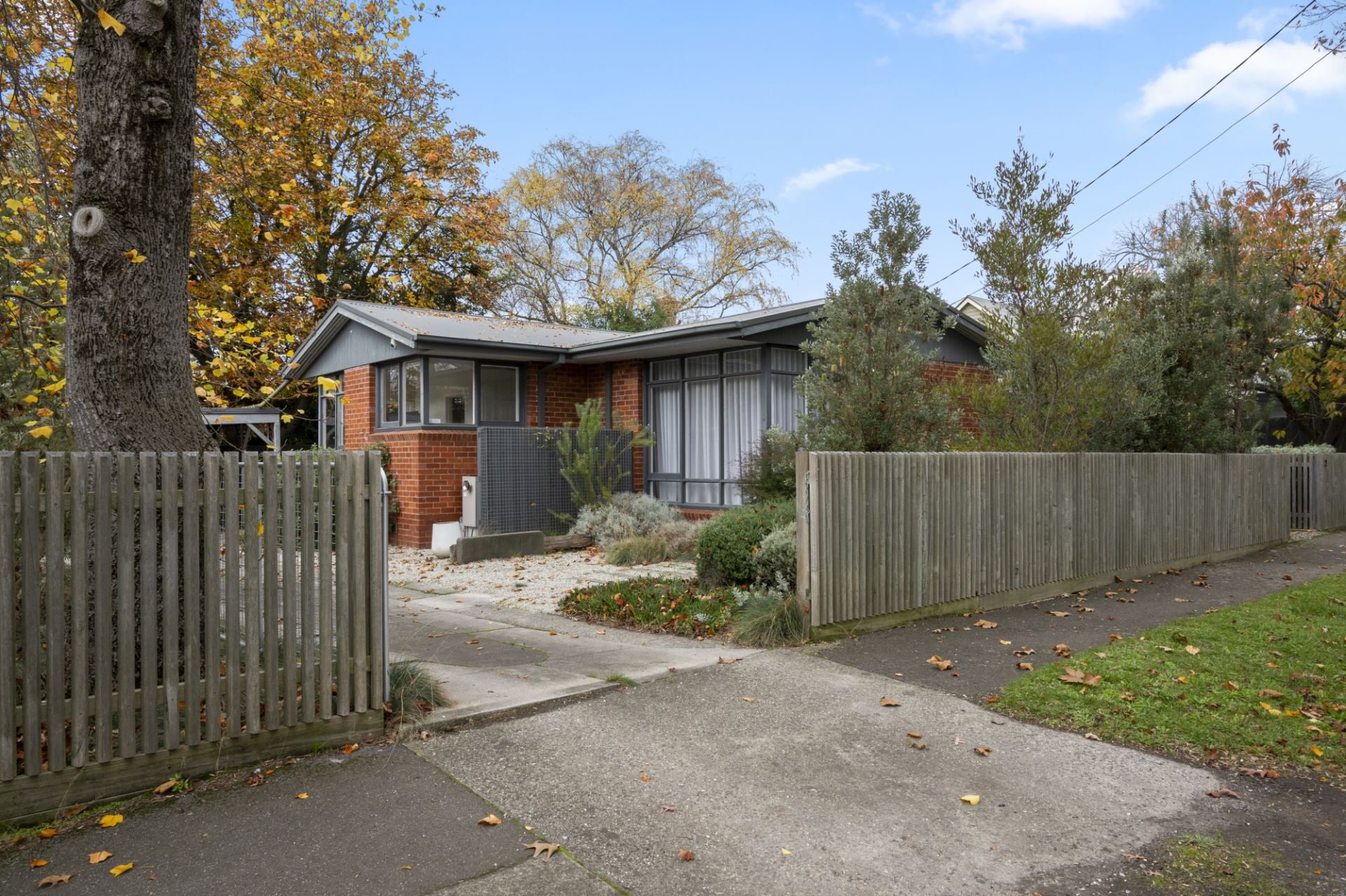 2 Frank Street, Ballarat Central, Ballarat Central - Thumbnail 5