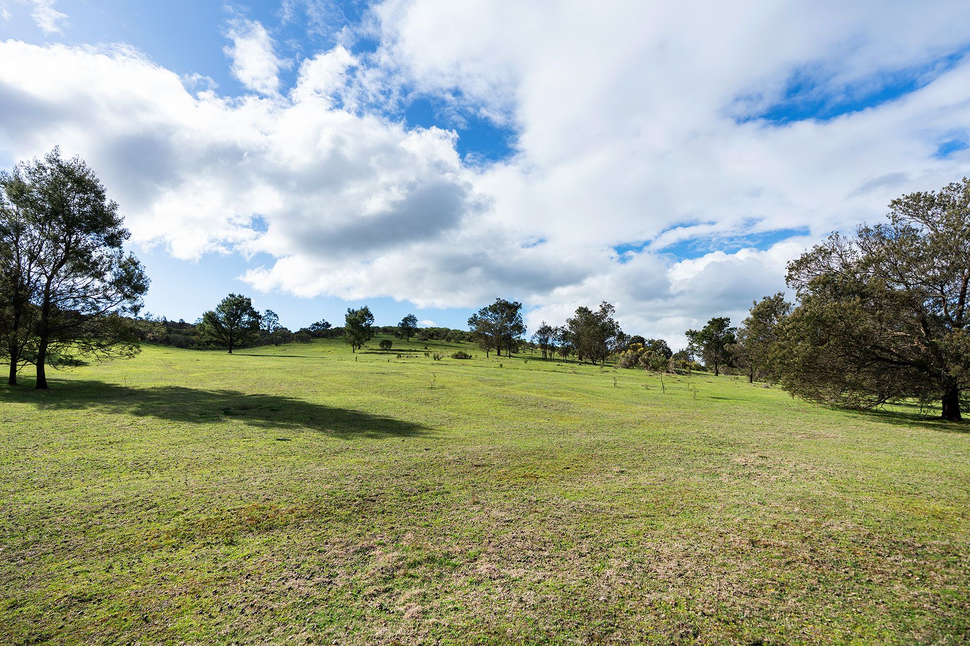 130 Cypress Drive, Elphinstone - Thumbnail 5