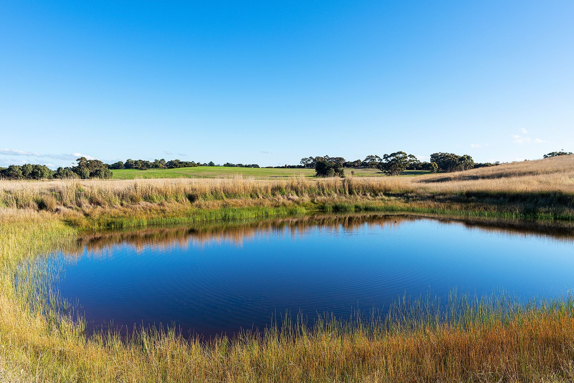 Lot 3/ Willaura-Wickliffe Road, Wickliffe VIC 3379