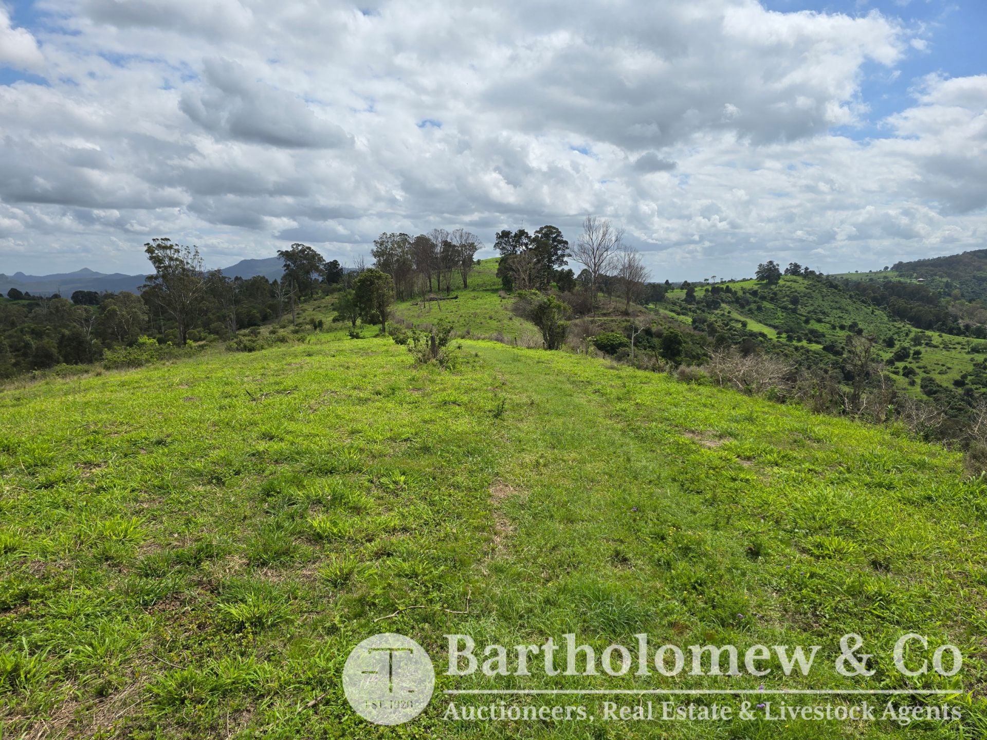 Zinglemann Road Milbong QLD, Milbong - Thumbnail 8