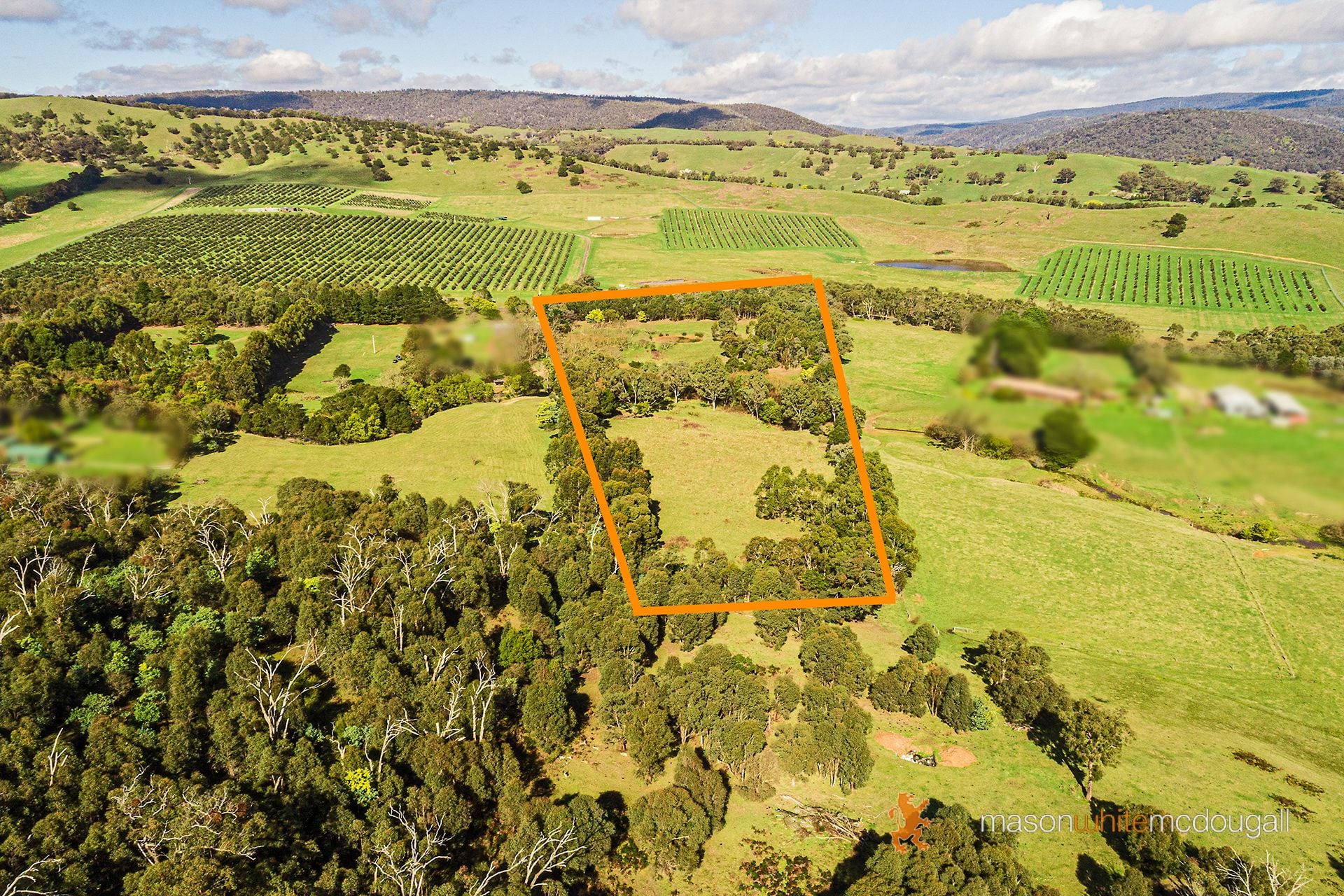 3493 Whittlesea-Yea Road Flowerdale VIC, Flowerdale - Thumbnail 7