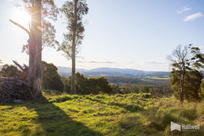 Maloneys Road, Sunnyside, Sunnyside - Thumbnail 2