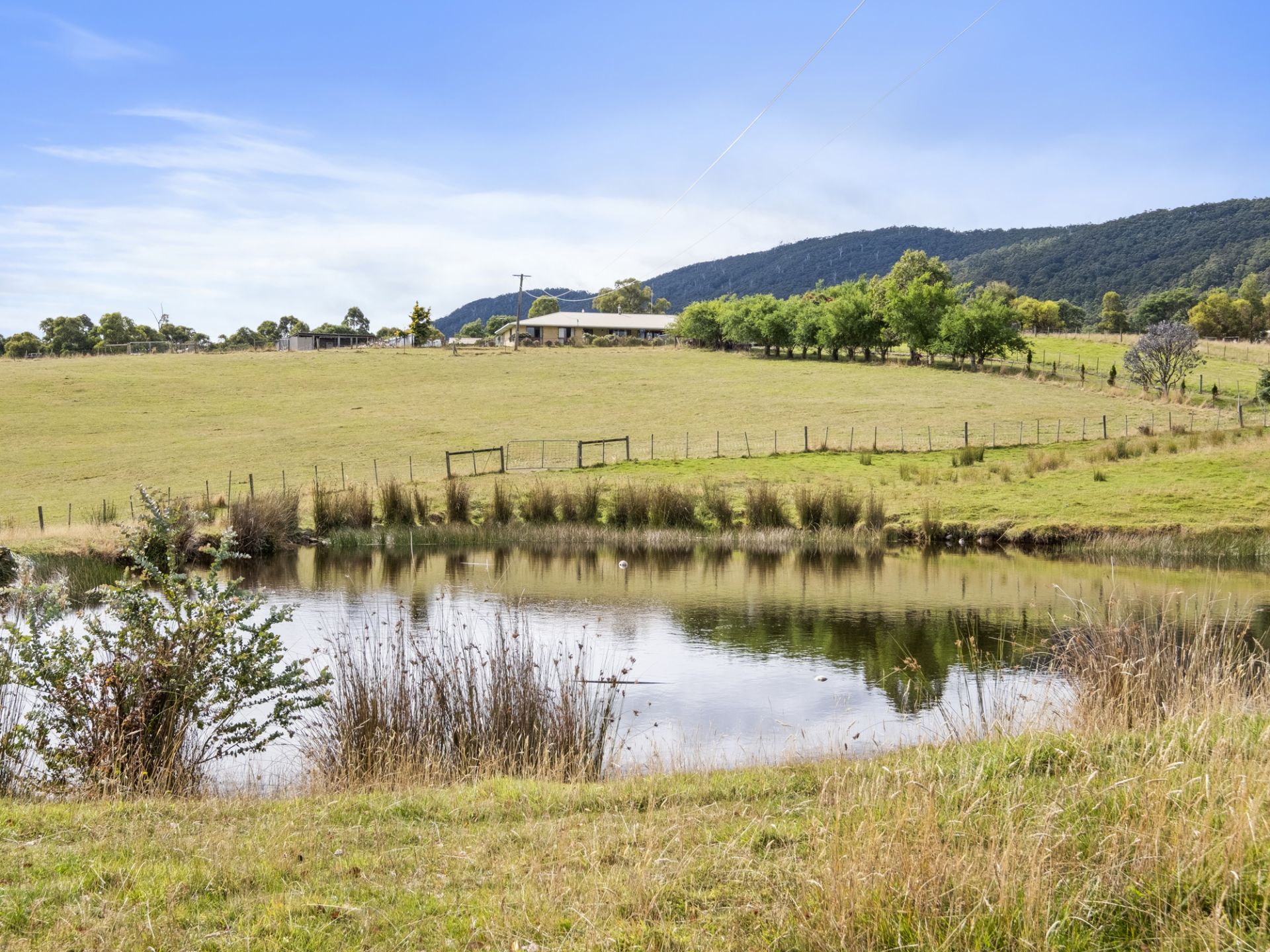 590 Woodbridge Hill Road, Gardners Bay, Gardners Bay - Thumbnail 5