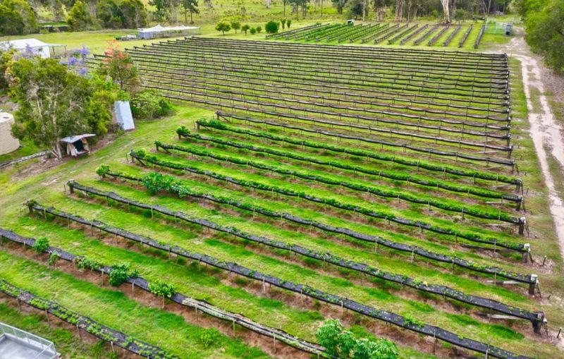 197 Stephan Road, Goomboorian For Sale by Farmbuy.com - image 4