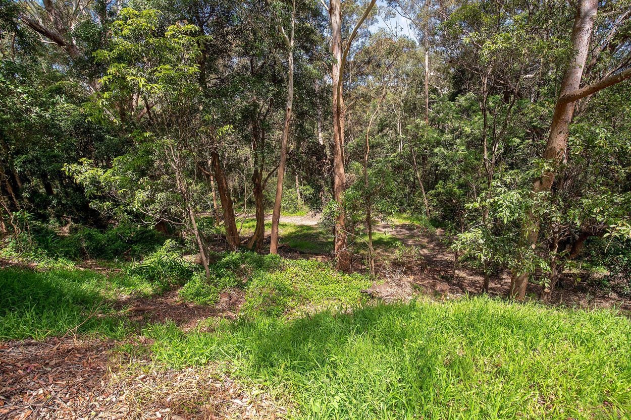 77 Mount Pleasant Avenue, Wahroonga, Wahroonga - Thumbnail 2