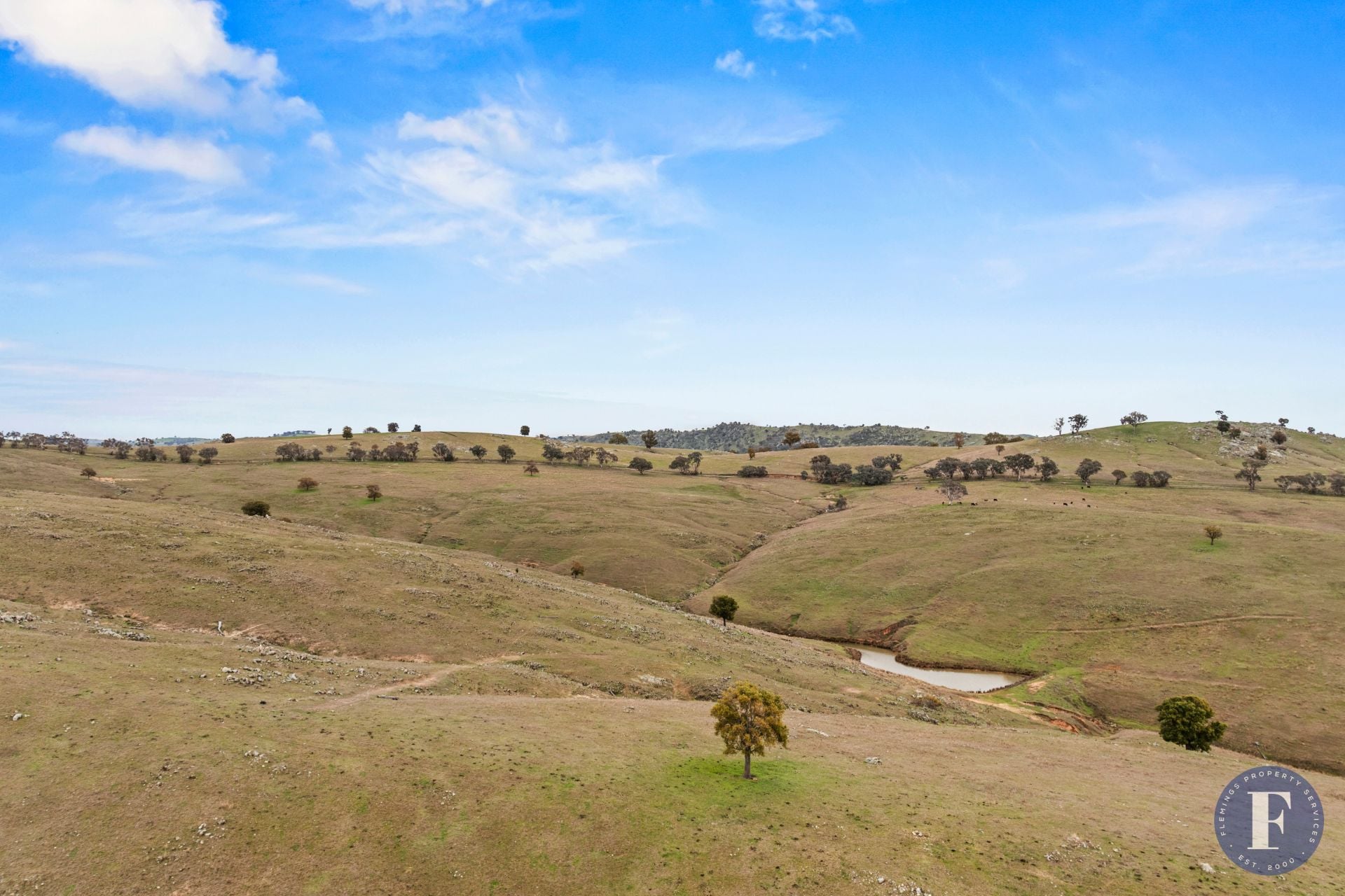 458 Ironbark Lane, Frogmore NSW, Frogmore - Thumbnail 8