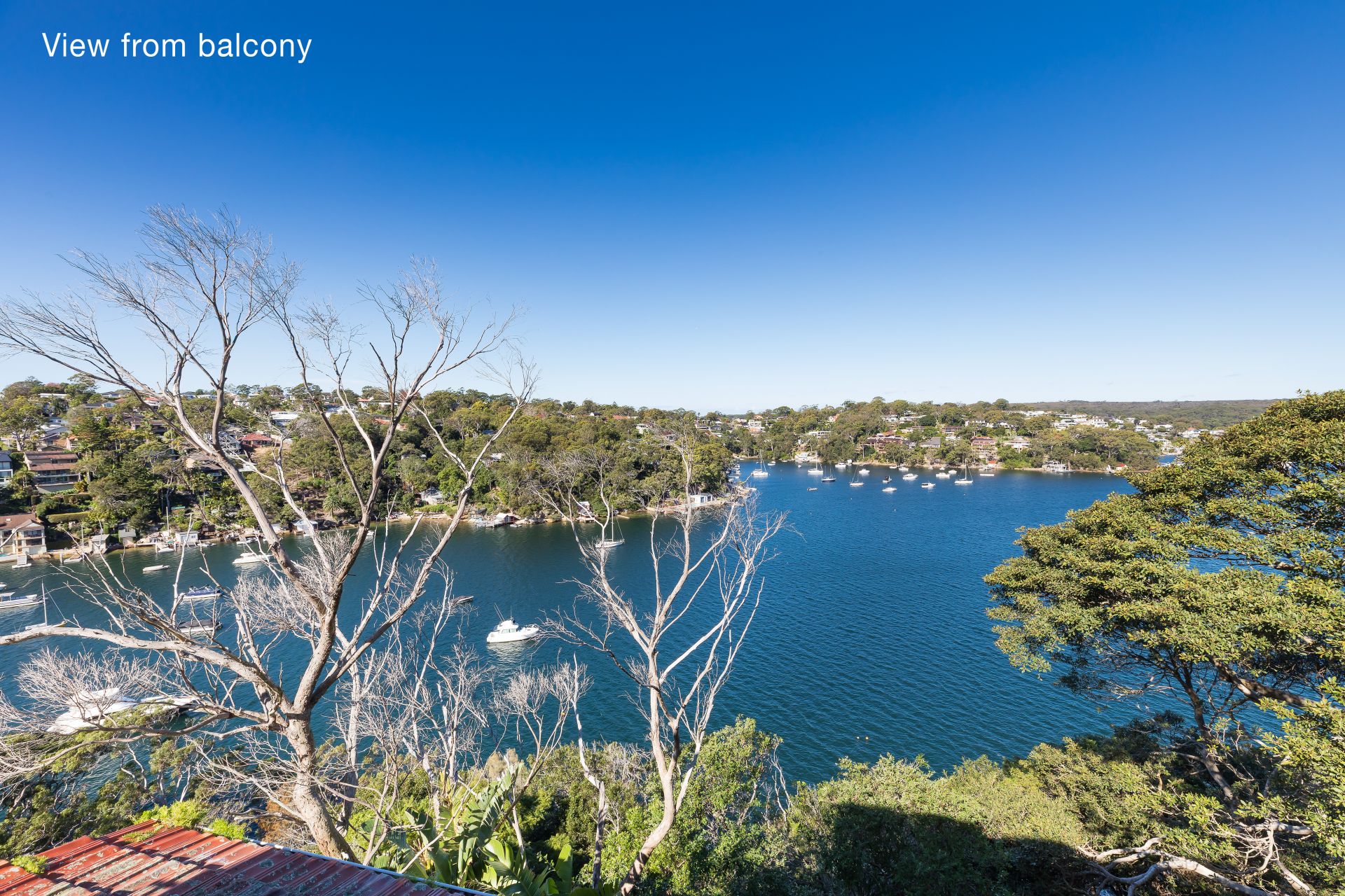20 Beauford Avenue, Caringbah South, Caringbah South - Thumbnail 7