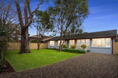 Belrose 110 Forest Way