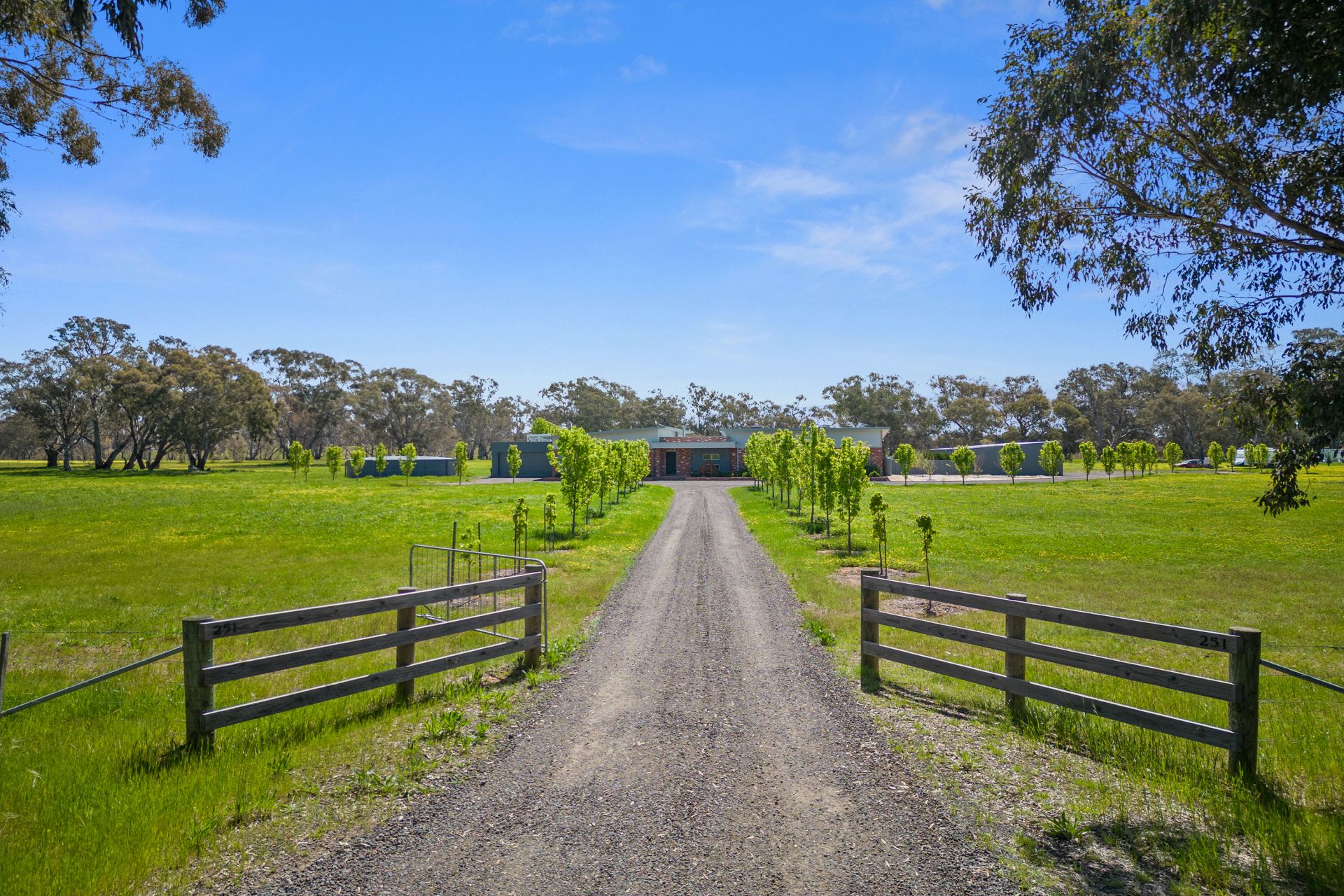 251 Hawkins Lane, Longlea, Longlea, Longlea - Thumbnail 3