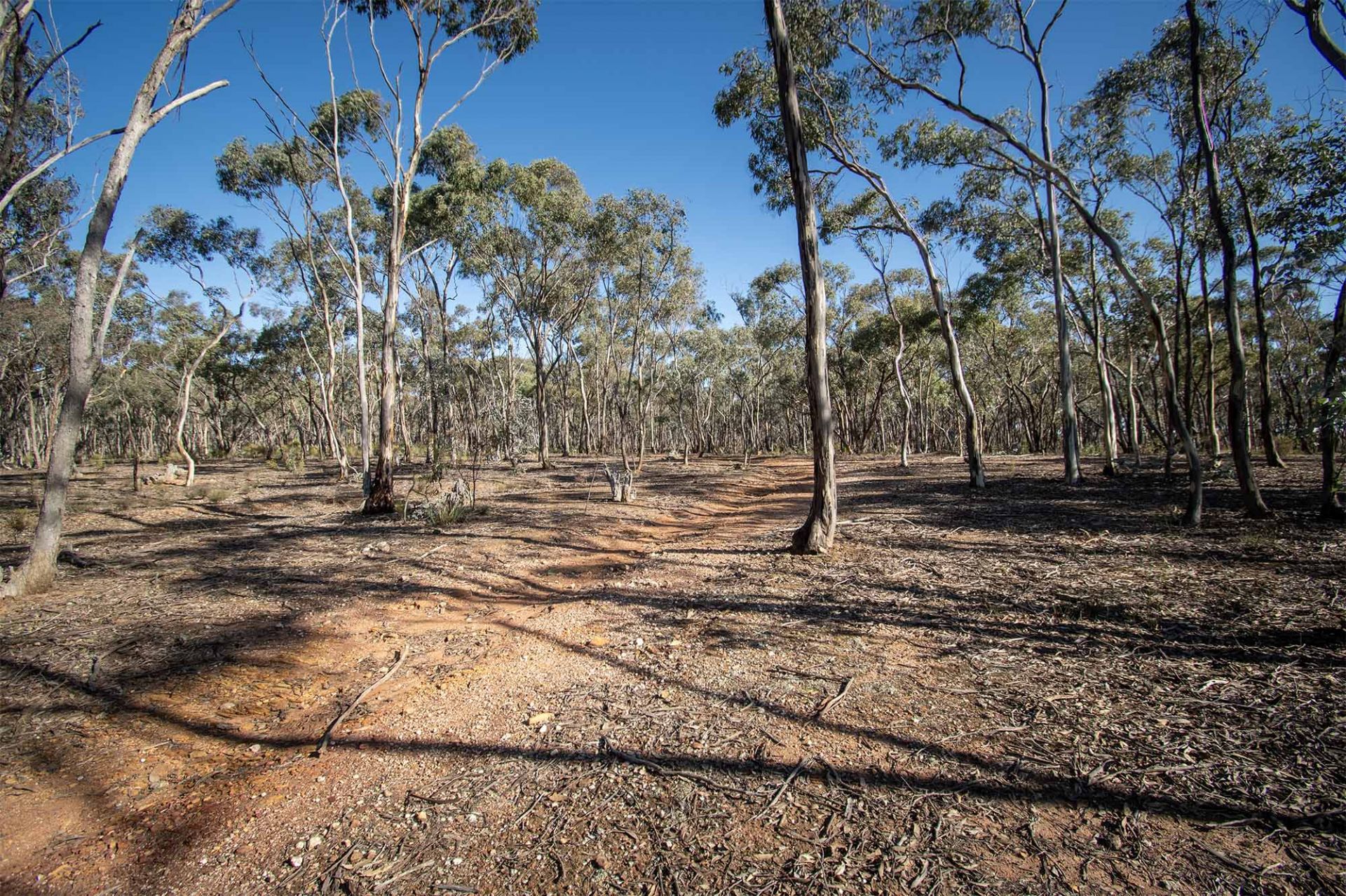 268 Moonlight Rd - Moonlight Flat, Maryborough - Thumbnail 3