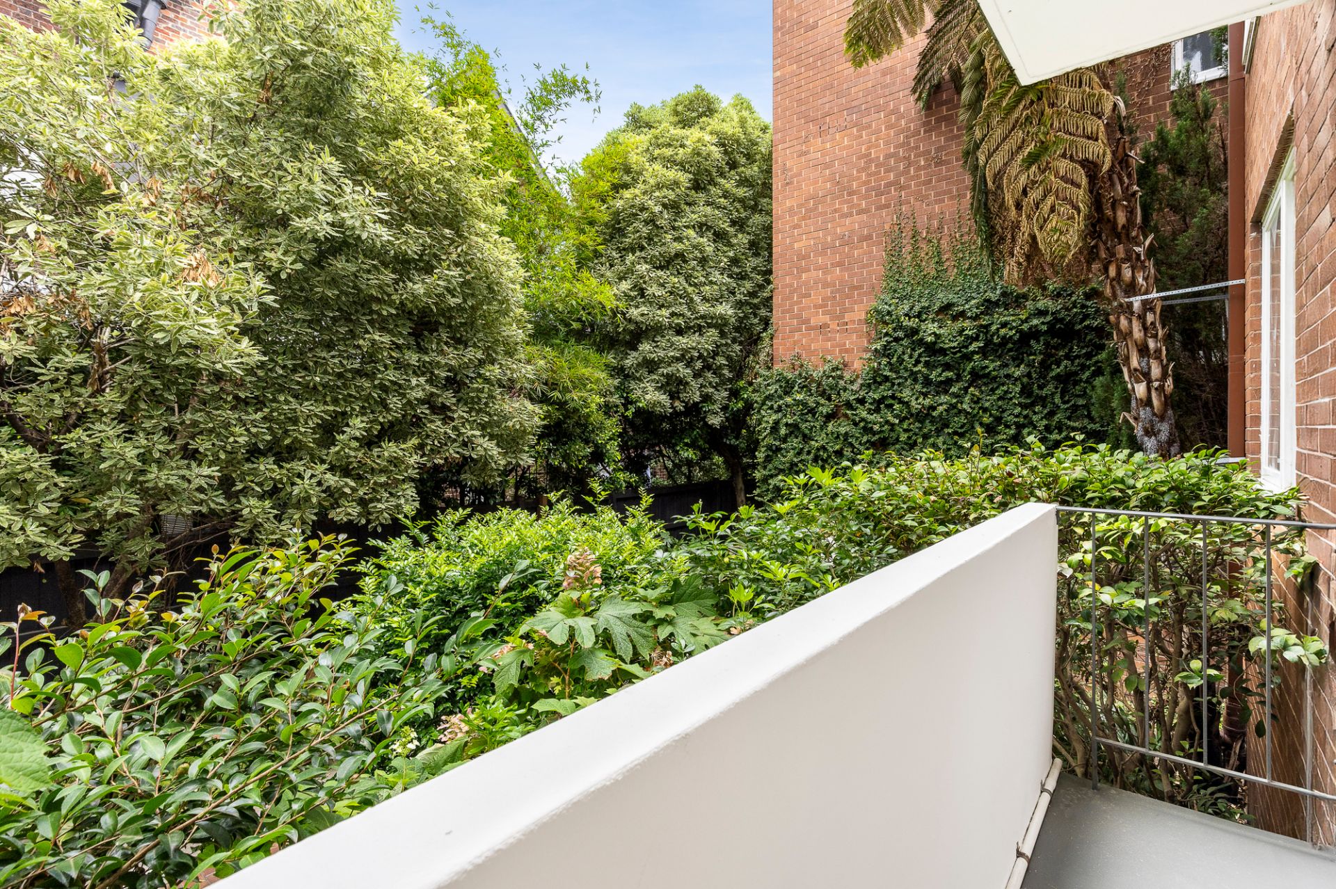 3/240 Domain Road, South Yarra, South Yarra - Thumbnail 4