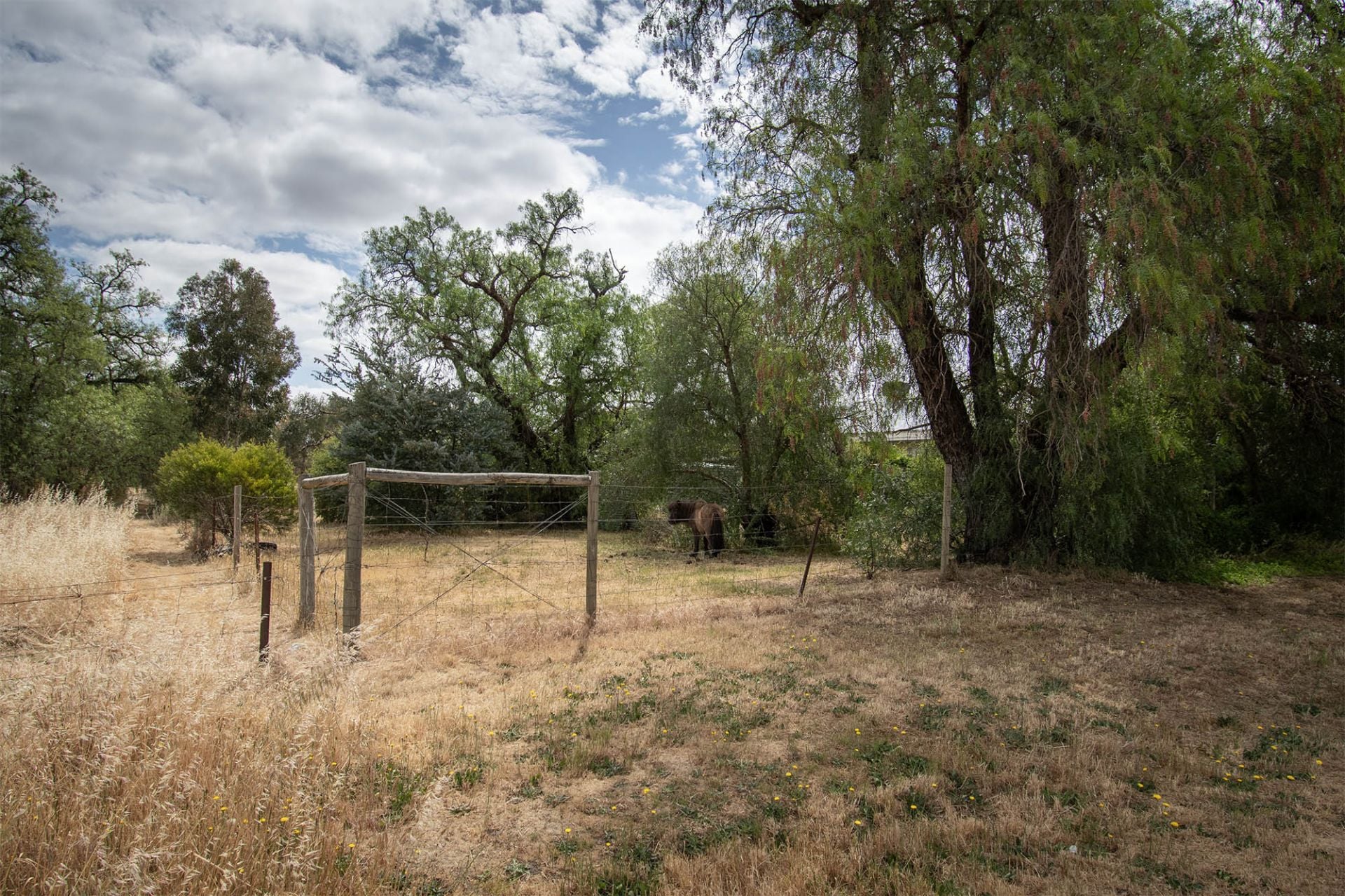 585 Timor Road, Bowenvale - Thumbnail 3