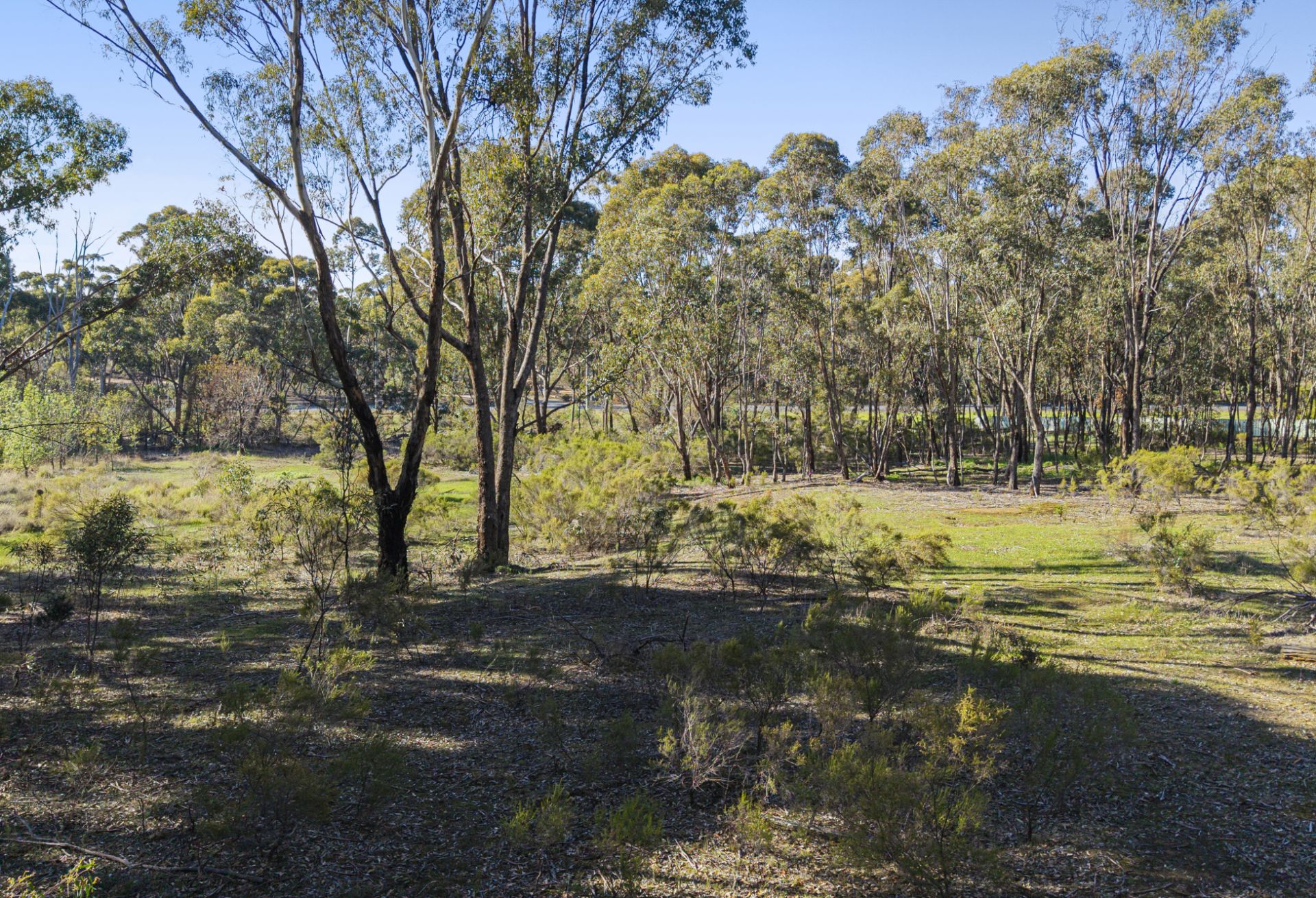 106 Derby Road, Maryborough - Thumbnail 3