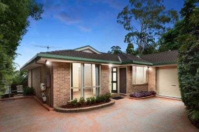 Belrose 31a Ralston Avenue