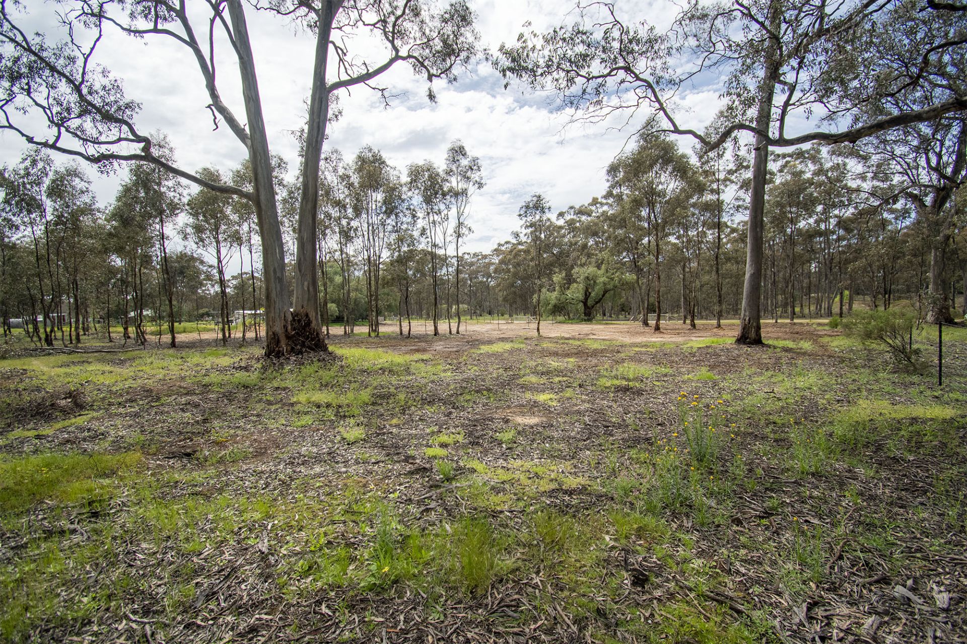 CA 10/100 Queens Birthday Mine Road Goldsborough - Via, Dunolly - Thumbnail 7