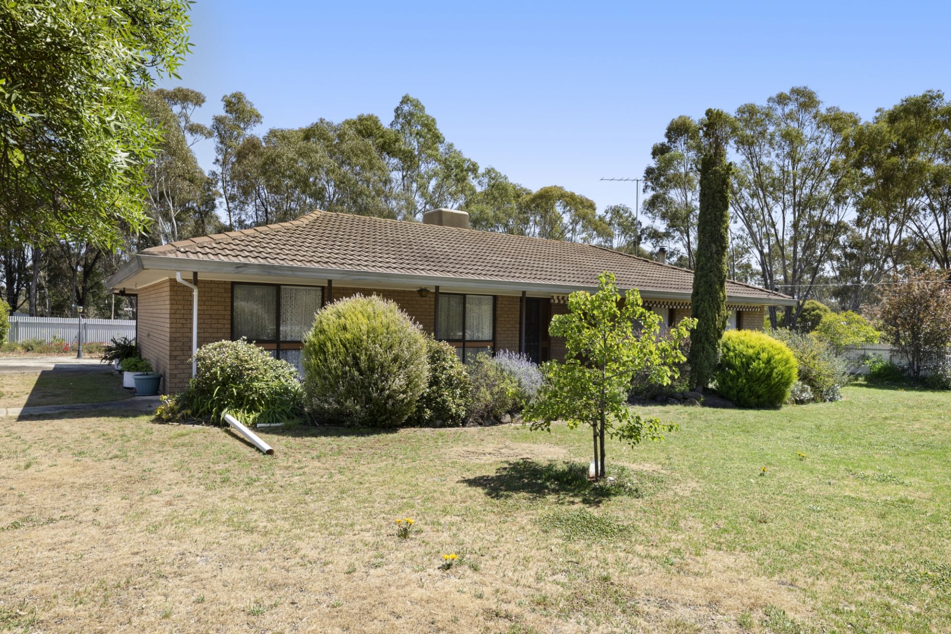 287 Timor Road, Bowenvale - Thumbnail 3