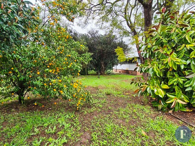 3 Myall Street, Eugowra NSW, Eugowra - Thumbnail 4