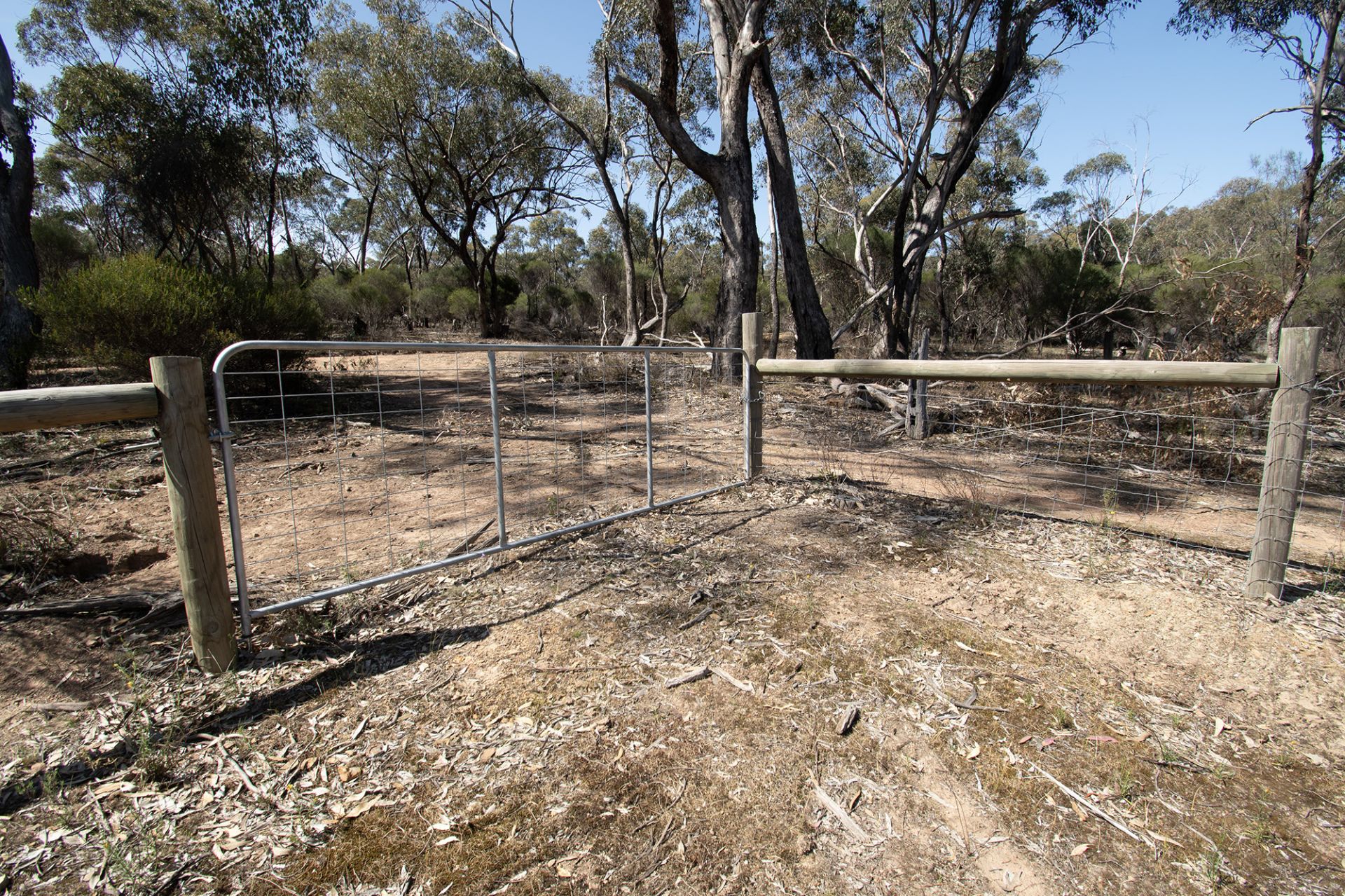 CA8 SECTIO Rheola-Arnold Road, Rheola - Thumbnail 4