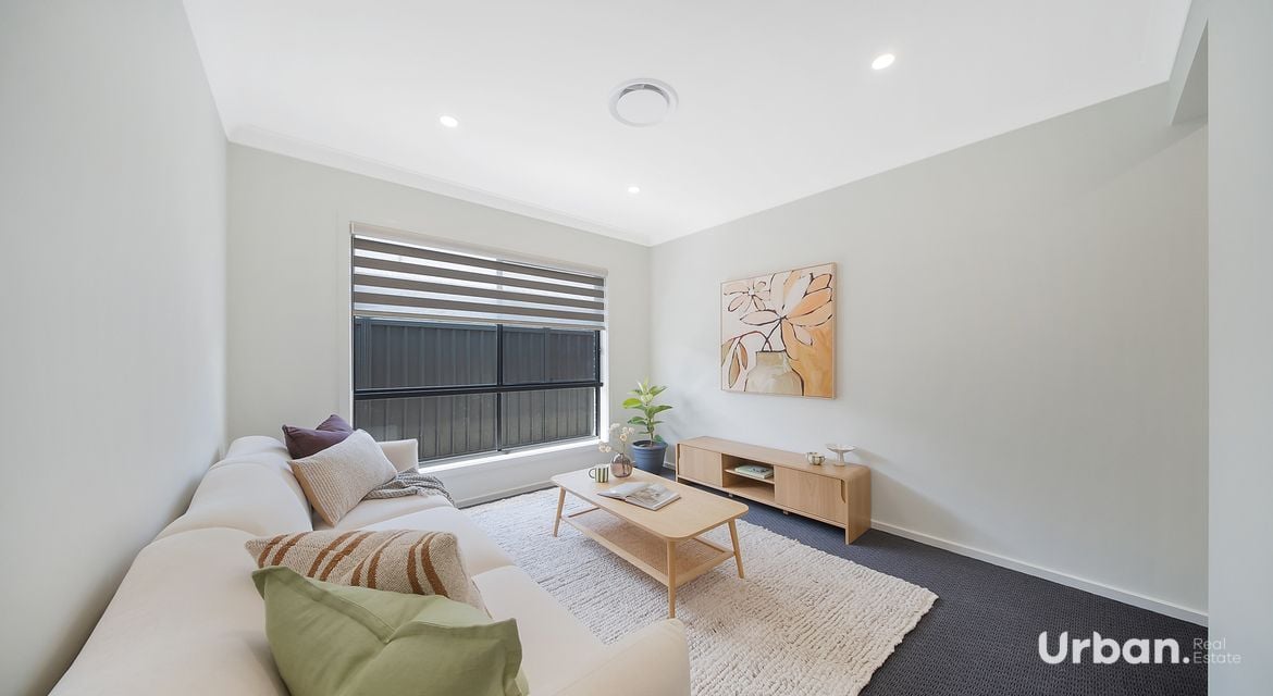 Bellbird 68 Abbotsford Street