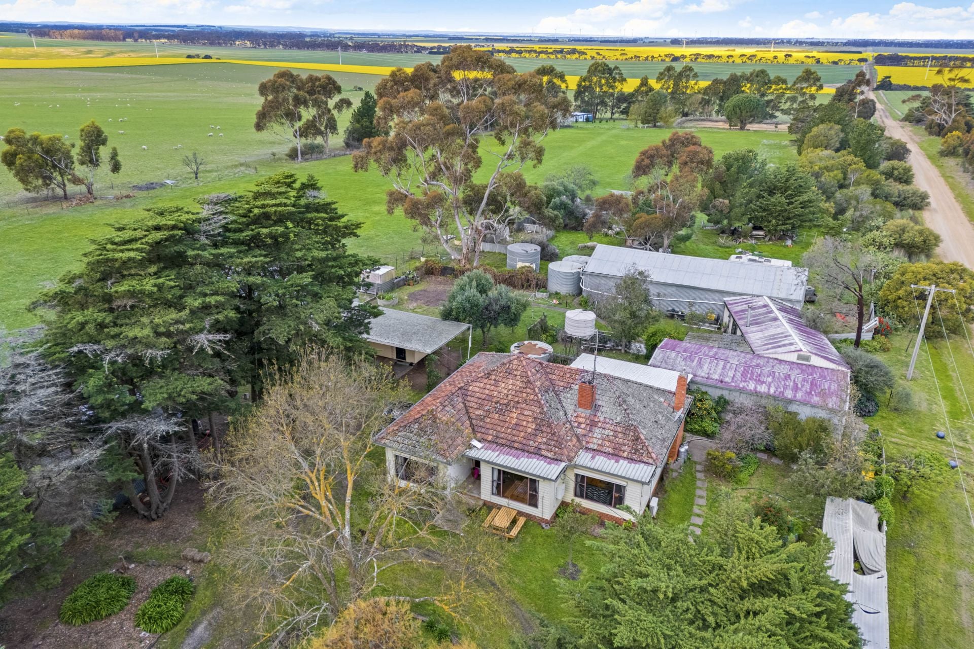 340 Middletons Road, Lismore, Lismore - Thumbnail 2