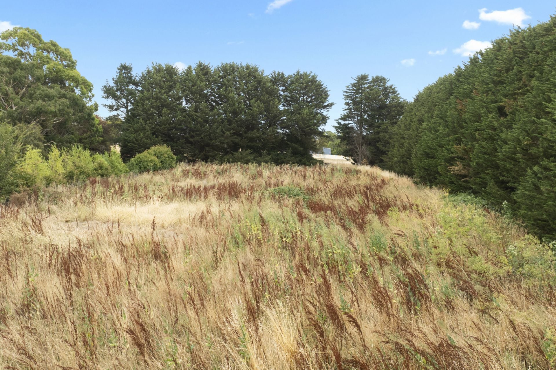 461 Glenelg Highway, Smythes Creek, Smythes Creek - Image 1