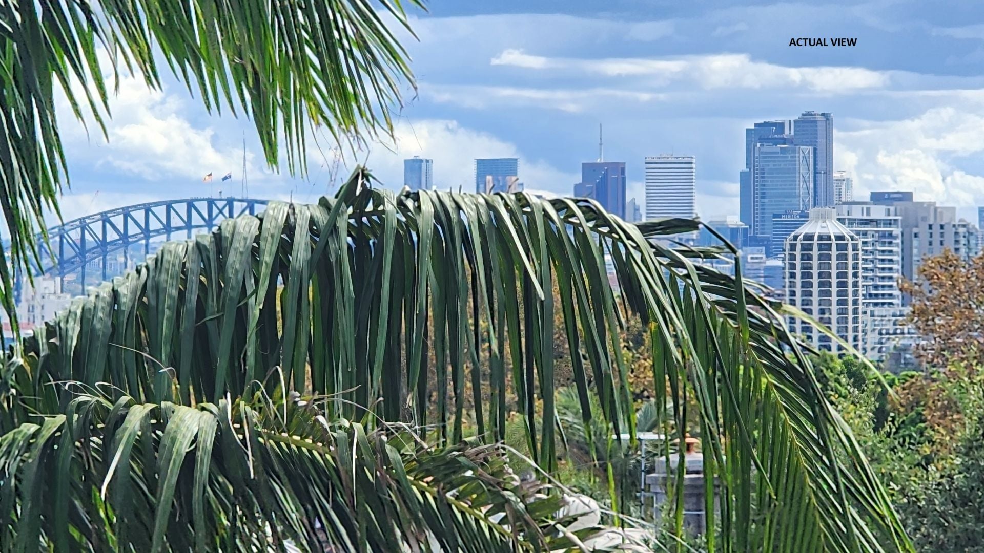31/237 Underwood Street, PADDINGTON, Paddington - Thumbnail 5