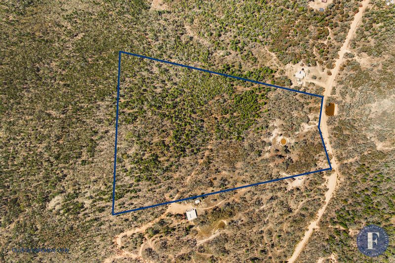 16 Caringa Road, Godfreys Creek NSW, Godfreys Creek - Thumbnail 5