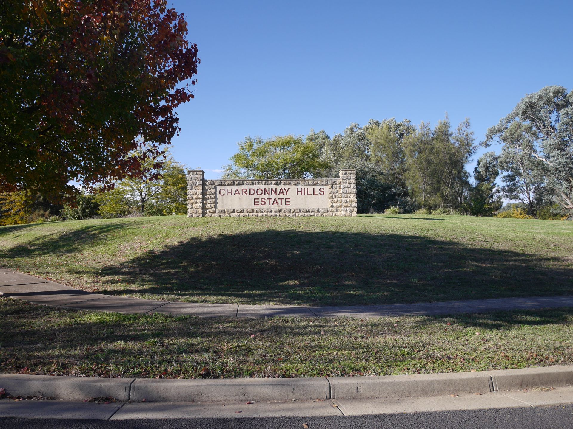 19 Pinot Street, COWRA, Cowra - Thumbnail 5