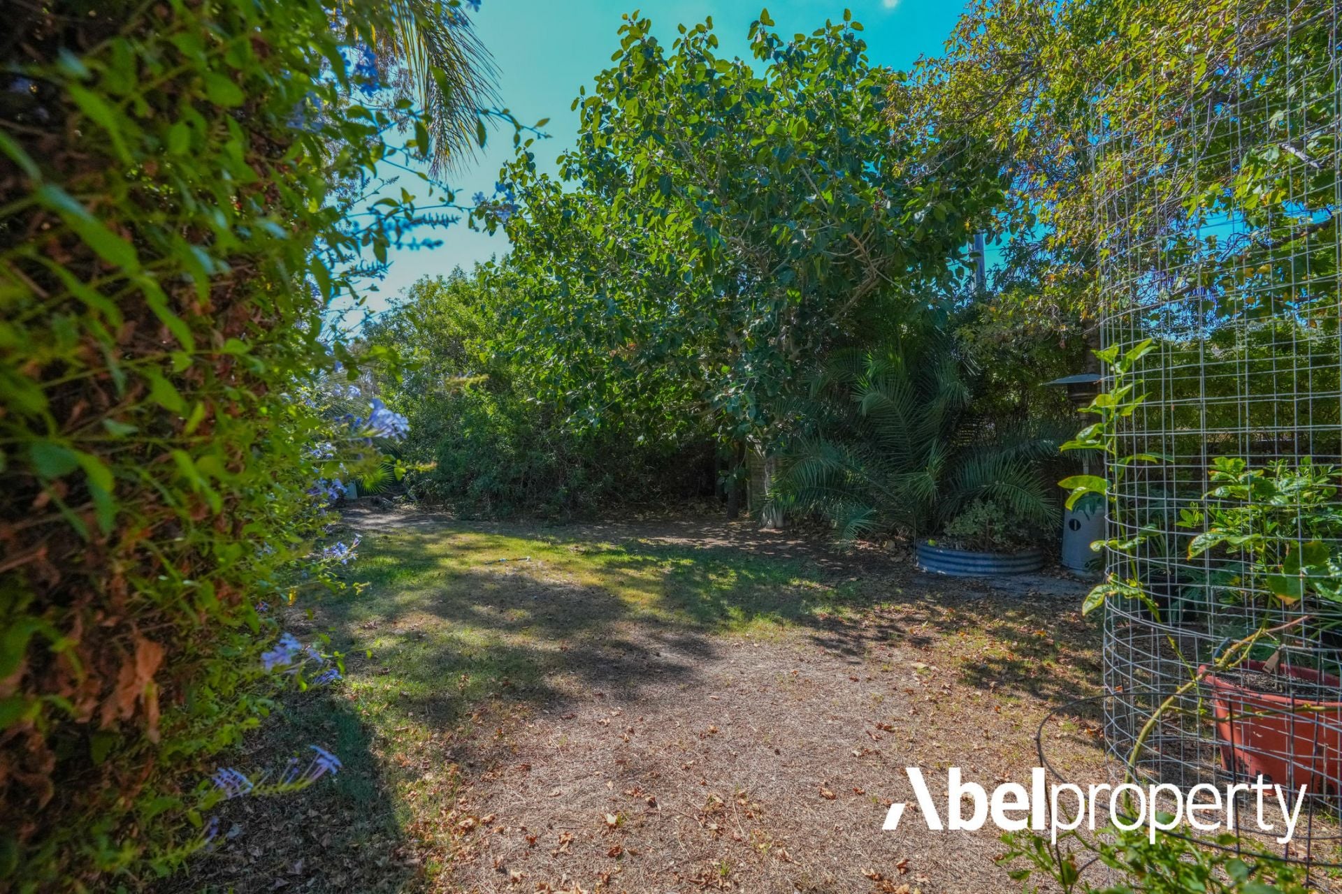 58 Lynn Street Trigg WA, Trigg - Thumbnail 7