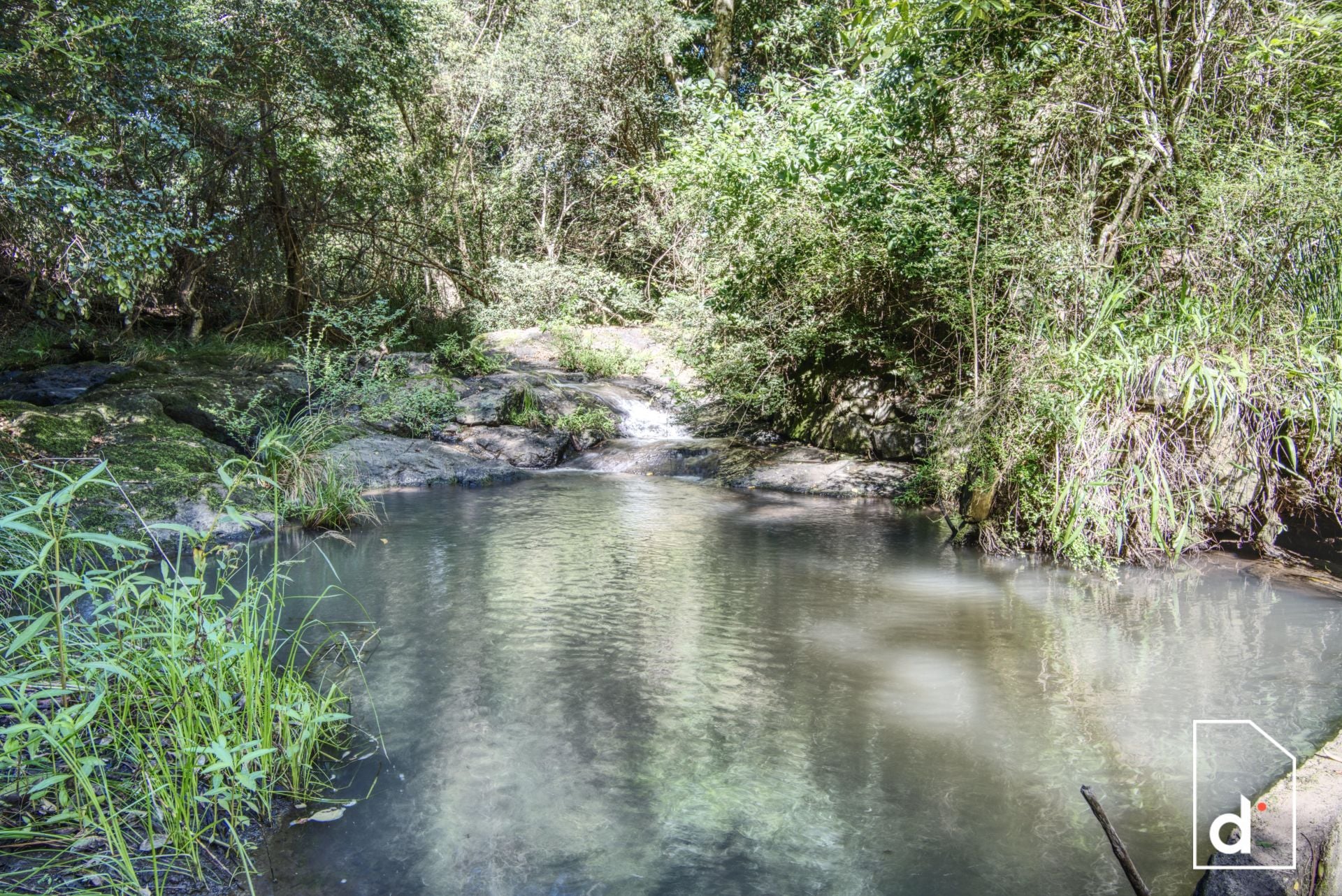 136 Wender Road, Collins Creek NSW