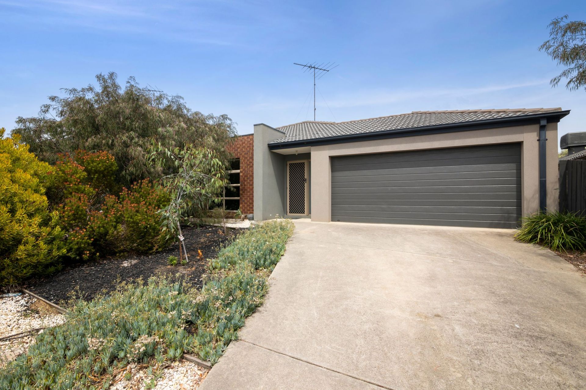 13 Casuarina Ave Torquay VIC, Torquay - Thumbnail 2