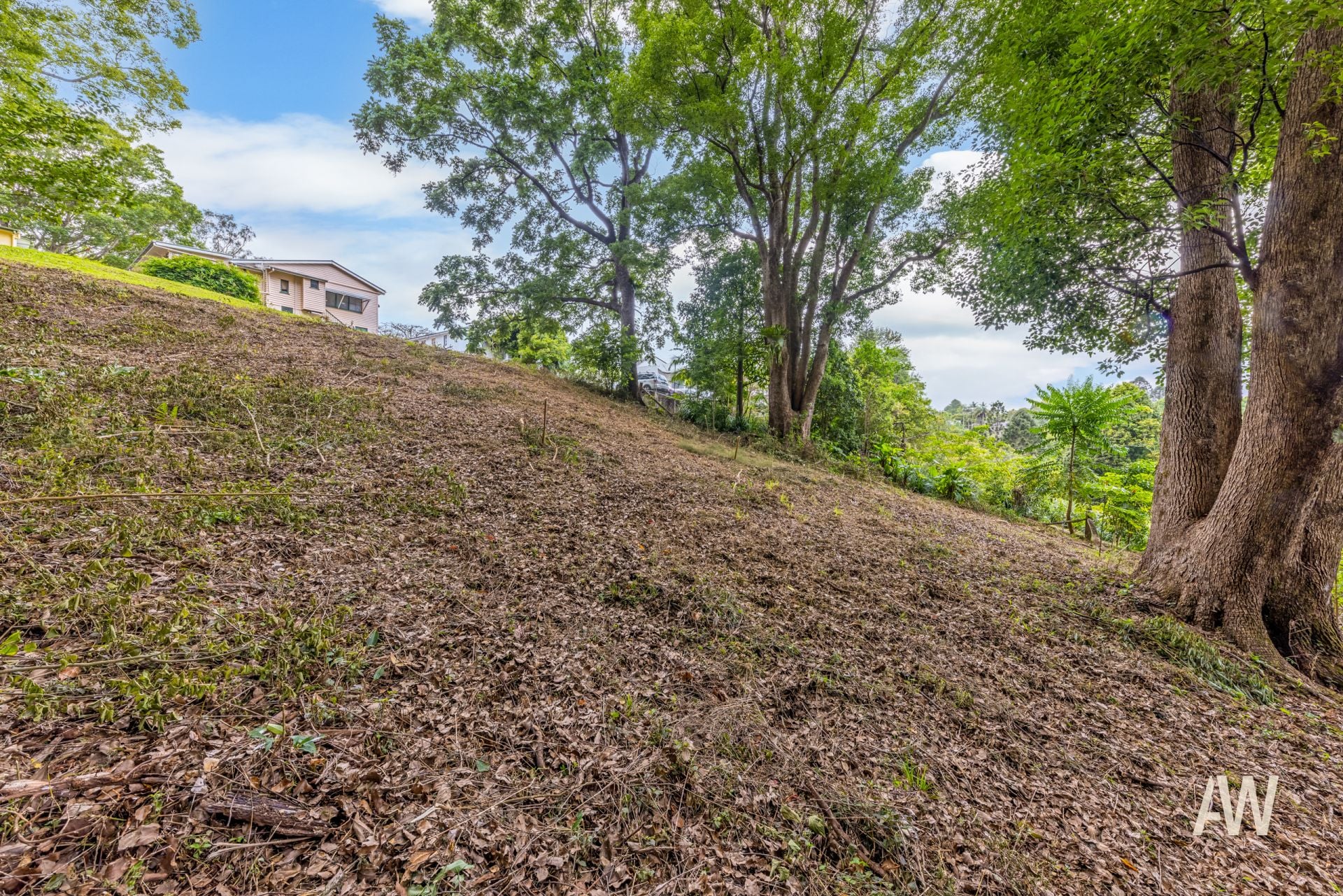 164 Main Street Montville QLD, Montville - Thumbnail 6