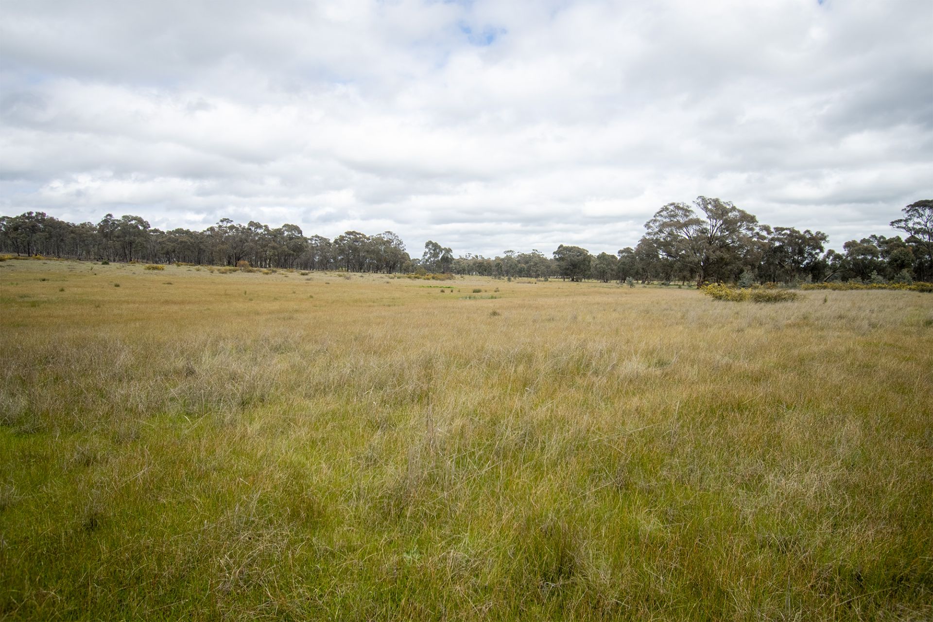 28/123 Logan Road, Alma - Thumbnail 5