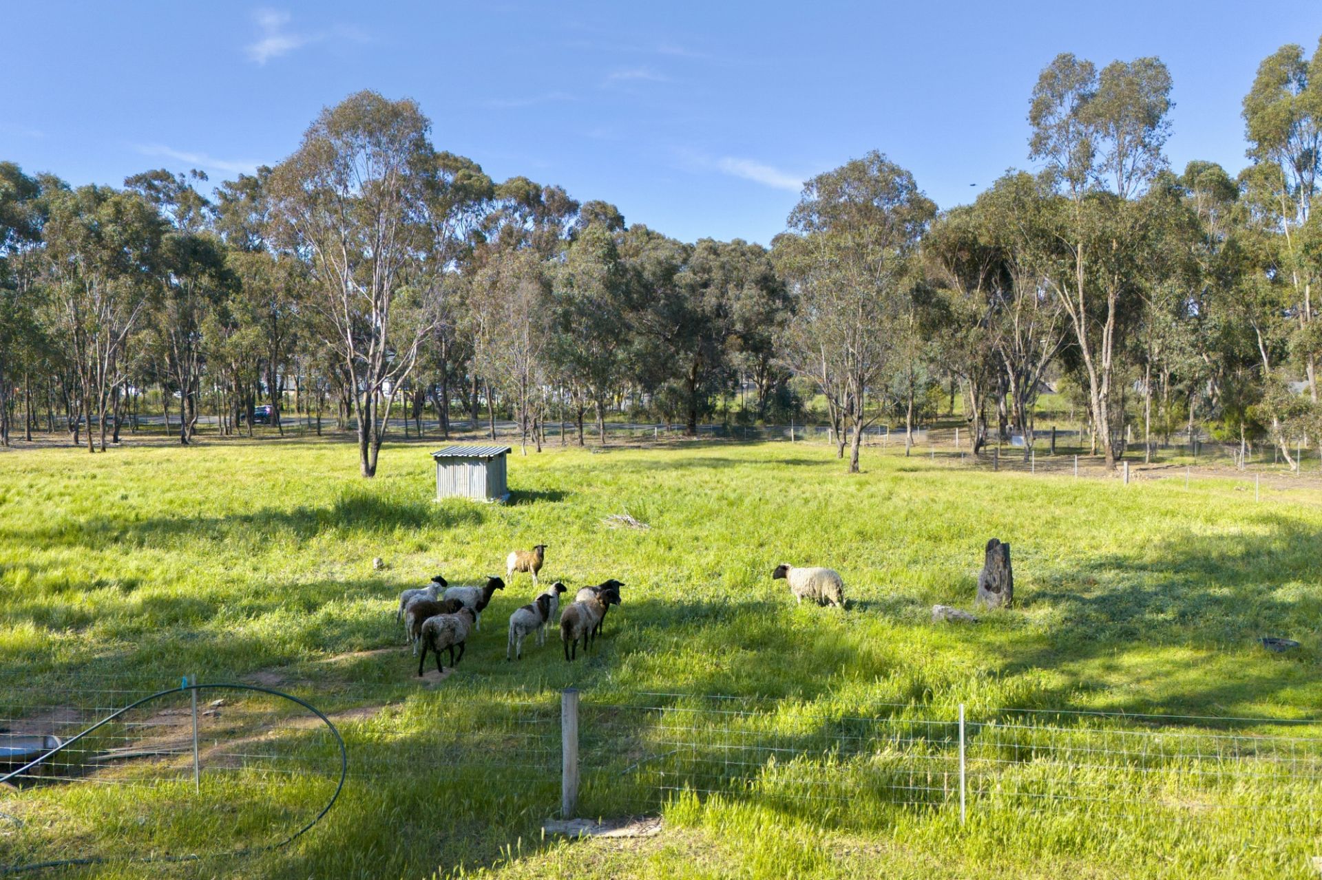 363 Tullaroop Road, Maryborough - Thumbnail 5