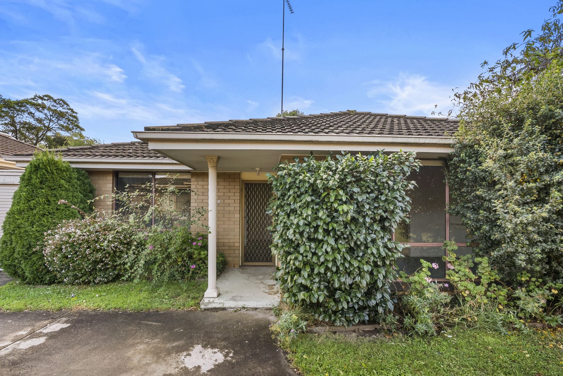 4/3 Verdon Street, Under Offer, Under Offer - Thumbnail 3