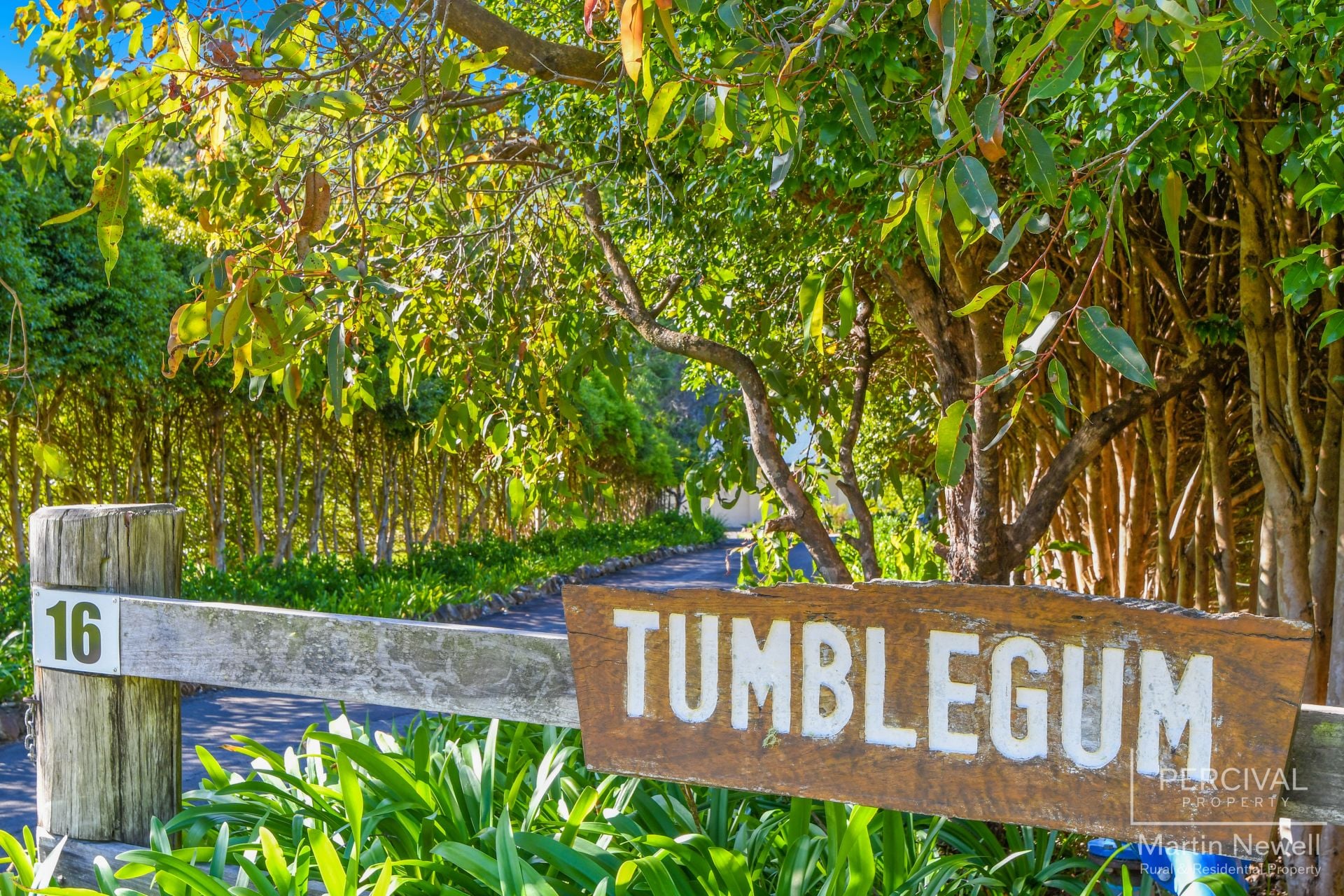16 Moncrieff Close King Creek NSW, King Creek - Thumbnail 5