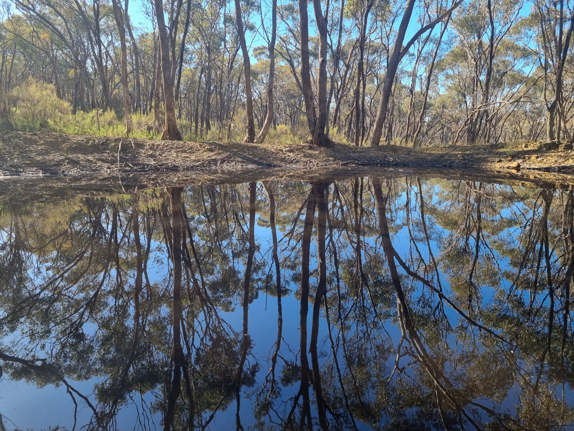 Lot 18 Native Gully Crescent Eppalock VIC, Eppalock - Thumbnail 8