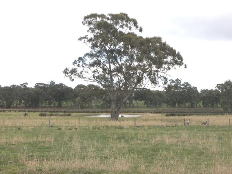 Axe Creek, Axe Creek - Thumbnail 2